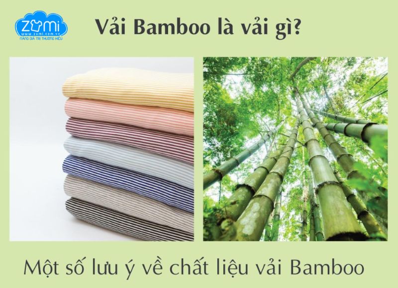 Vải Bamboo Là Gì? Vì Sao Được Ưa Chuộng Khi May Áo Sơ Mi?